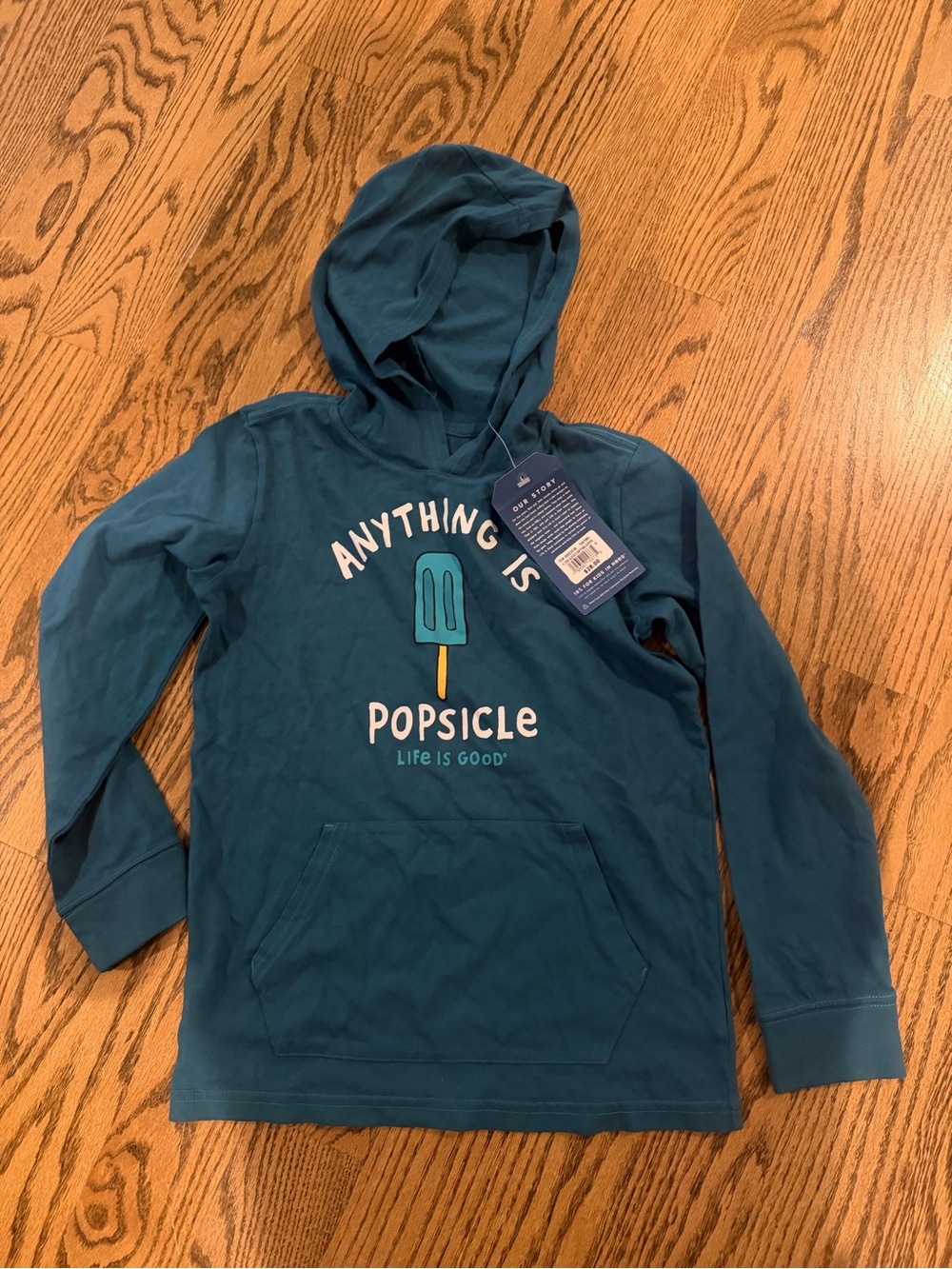 Life Is Good Kids Teal Blue 'Anything Is Popsicle' Hoodie